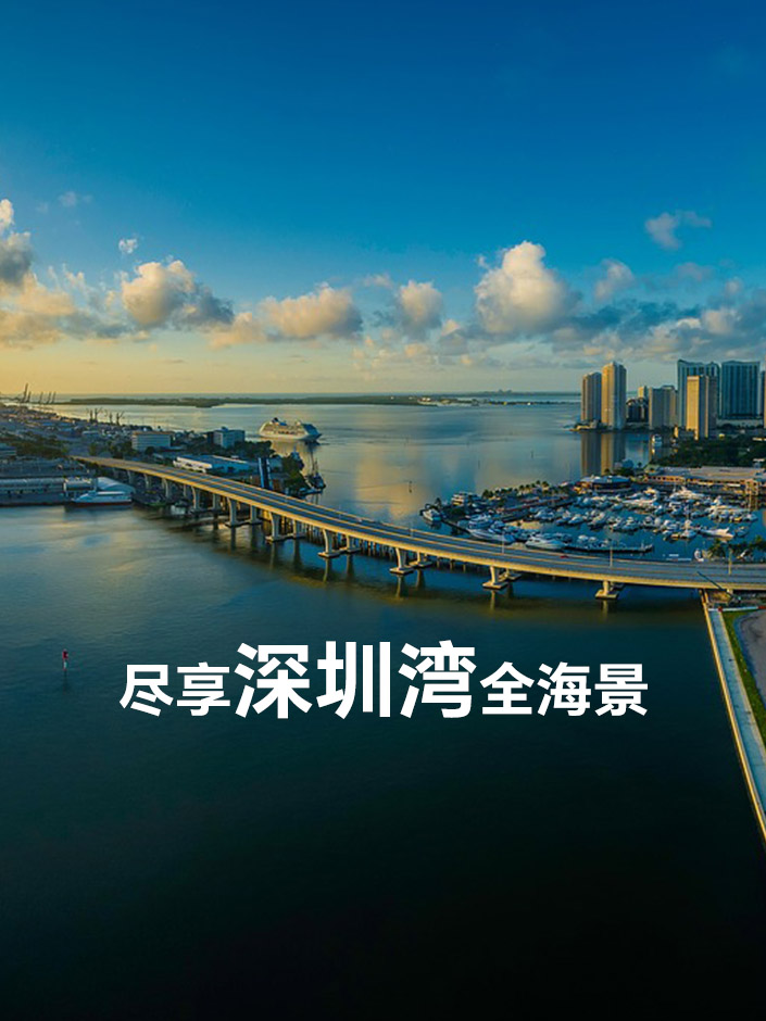 深圳湾1号,**